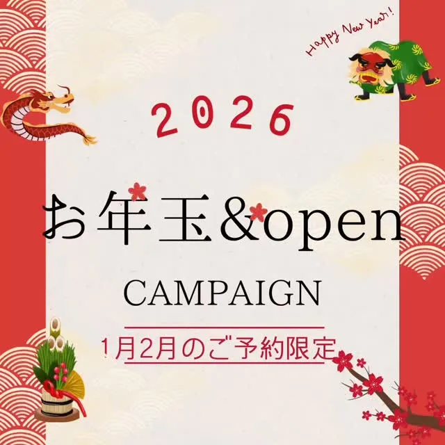【2月末まで限定 オープン価格】